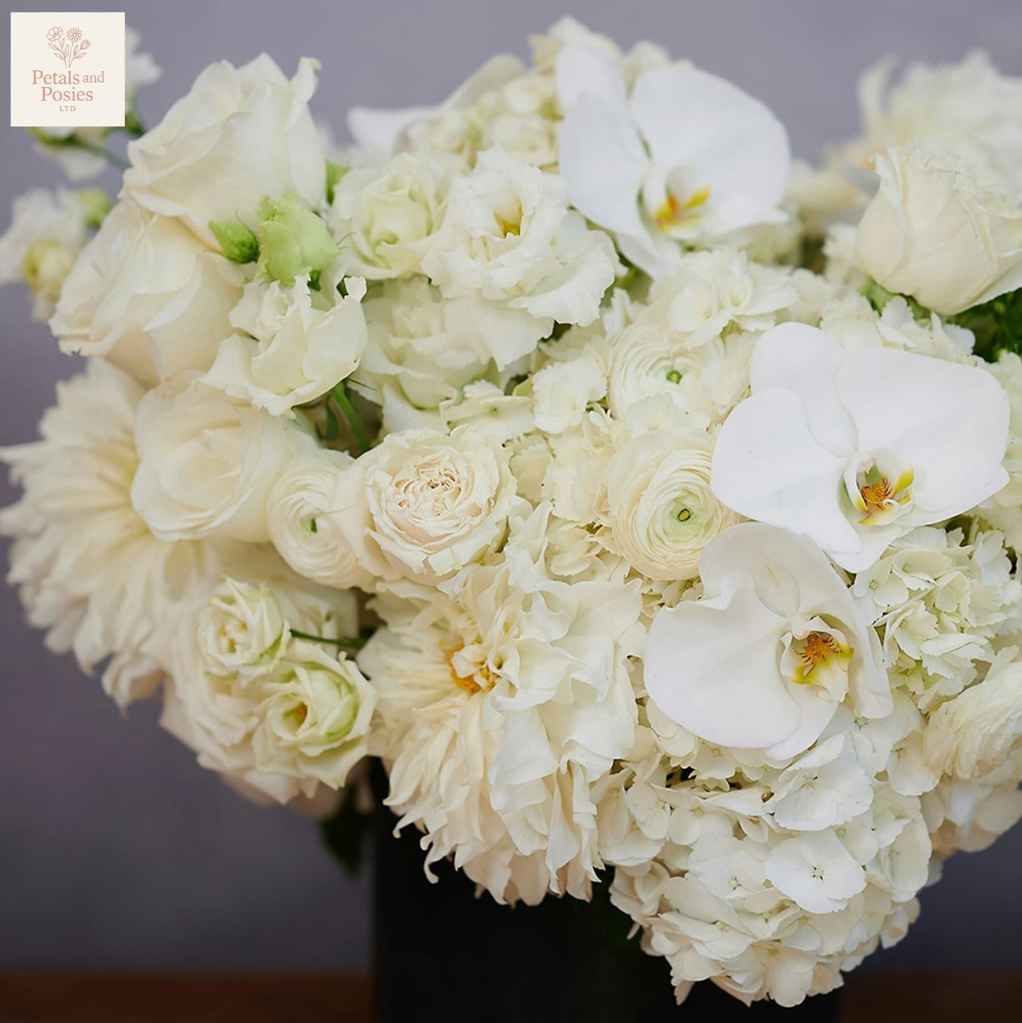 White Lavish