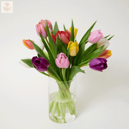 Colorful Tulips.