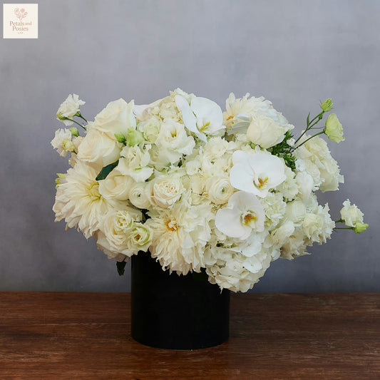 White Lavish Grand